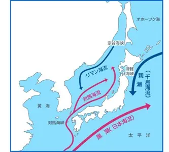 出典：日本海学推進機構・キッズ日本海学HP　日本近海の海流